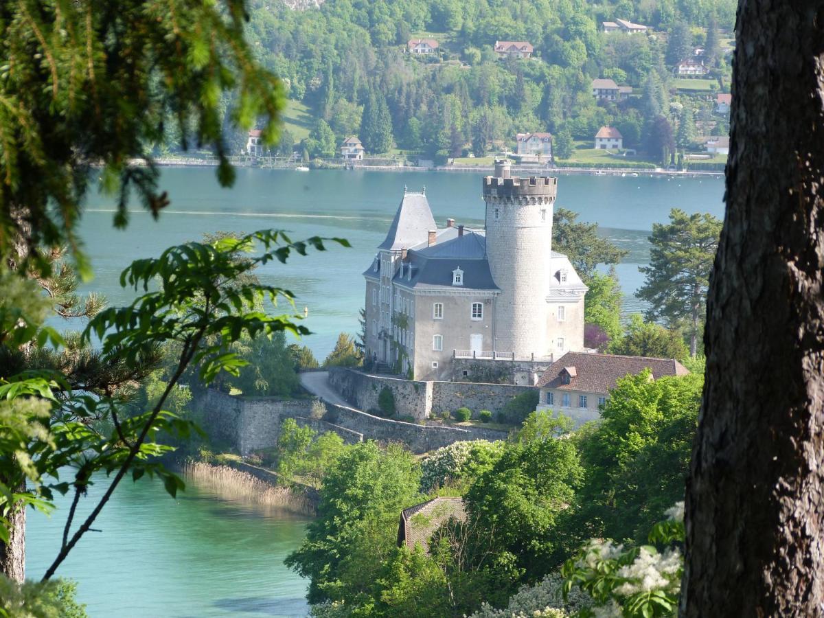 Au Bord Du Lac D'Annecy, Logement Type Loft, Dans Residence Avec Plage Et Ponton Privee Duingt Kültér fotó